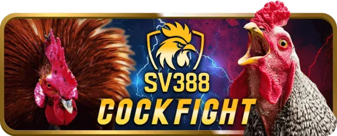 Giao diện phiếu cược với nhiều lựa chọn kèo cược khác nhau tại YY88 Casino